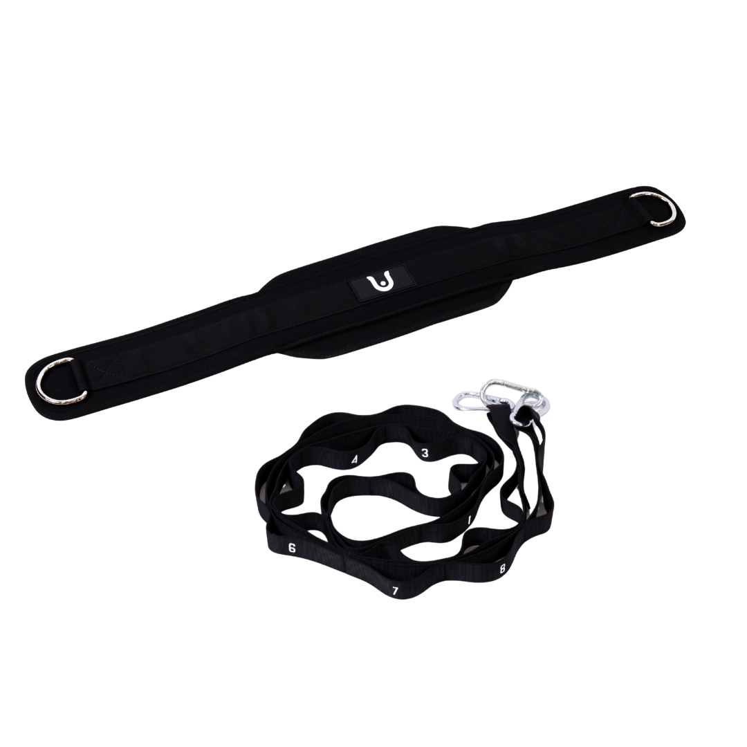 Dip Belt