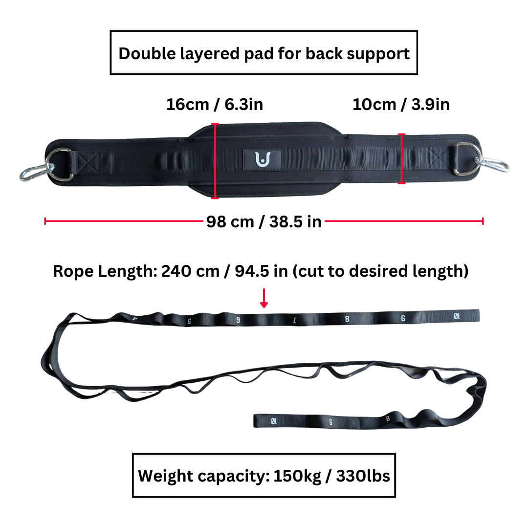Dip Belt