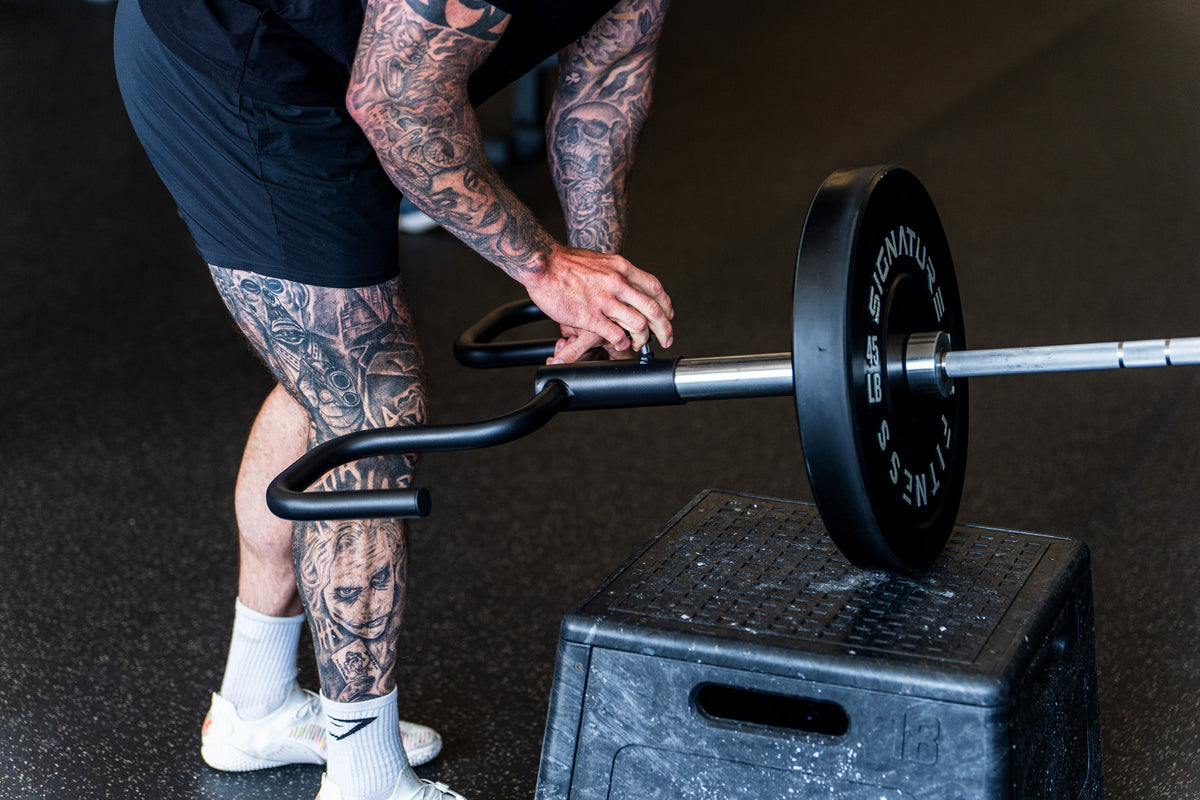 The Viking Press set up on a landmine stand in a home garage gym
